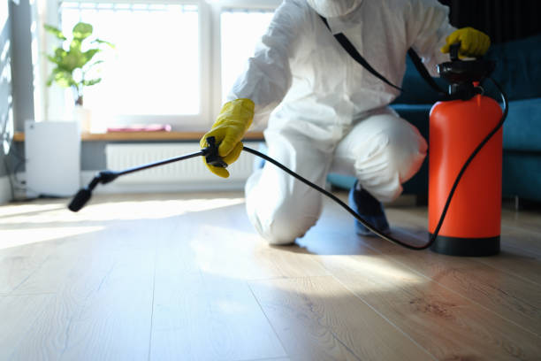 Reliable Sewage Cleanup contractor in New Springfield, OH by Trauma Clean Pros